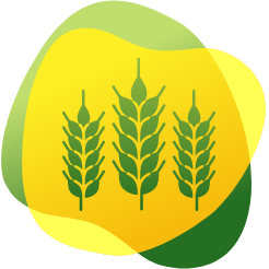 Icon of wheat as food that can cause gas and bloating for persons with gluten intolerance